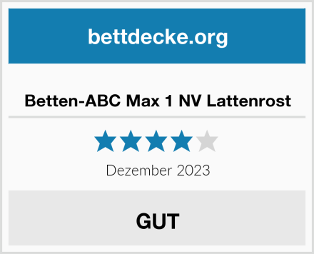  Betten-ABC Max 1 NV Lattenrost Test