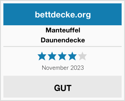 Manteuffel Daunendecke Test