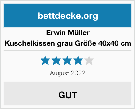 Erwin Müller Kuschelkissen grau Größe 40x40 cm Test