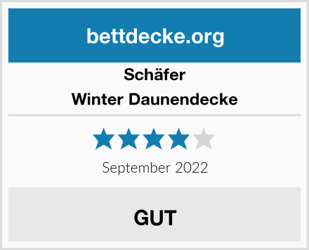 Schäfer Winter Daunendecke Test