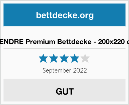  WENDRE Premium Bettdecke - 200x220 cm Test