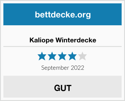  Kaliope Winterdecke Test